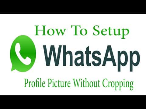 Set WhatsApp Profile Picture without Cropping